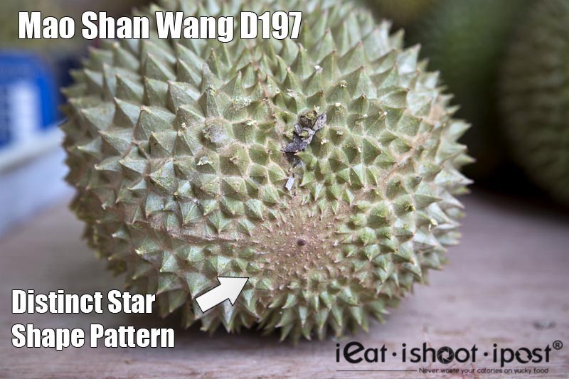 Star-Shape Mao Shan Wang