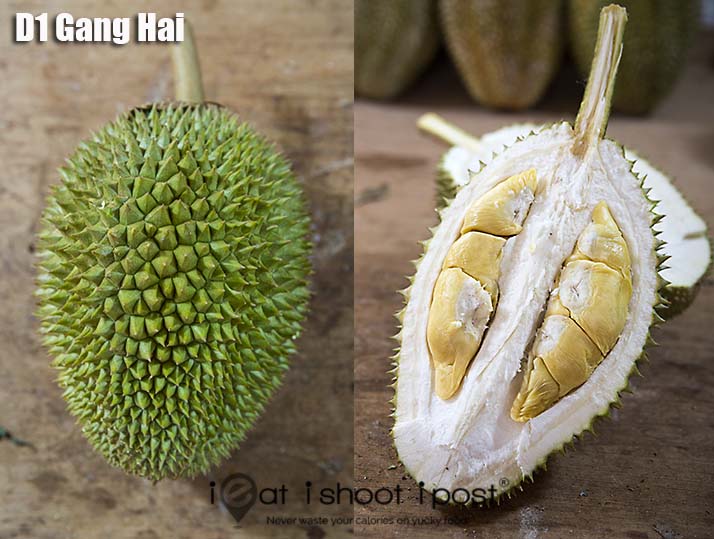 Durian kang hai
