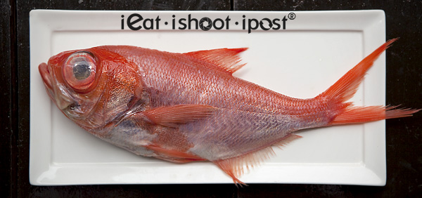 Kinmedai (Golden Eye Snapper) from Japan