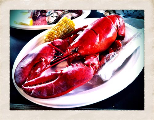 Freshly boiled Lobster at Yankee Lobster Company