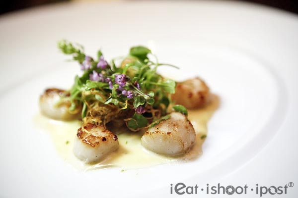 Nantucket Bay Scallops with Ume infused Butter Emulsion