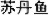 name in chinese characters