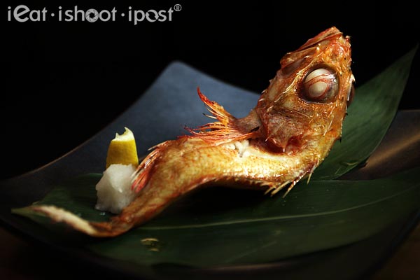 Grilled Kinki Fish