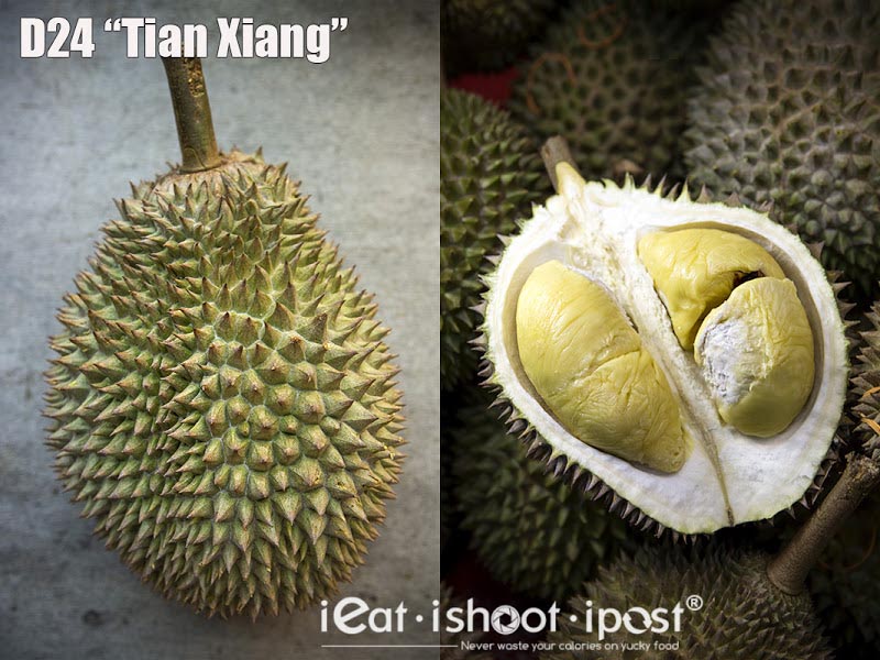 D24 "Tian Xiang" Durian $12/kg