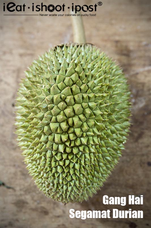 Segamat-Durian-husk