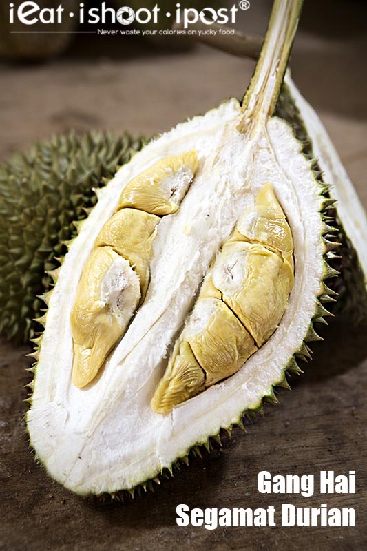 Gang Hai 江海 Durian from Segamat $8/kg