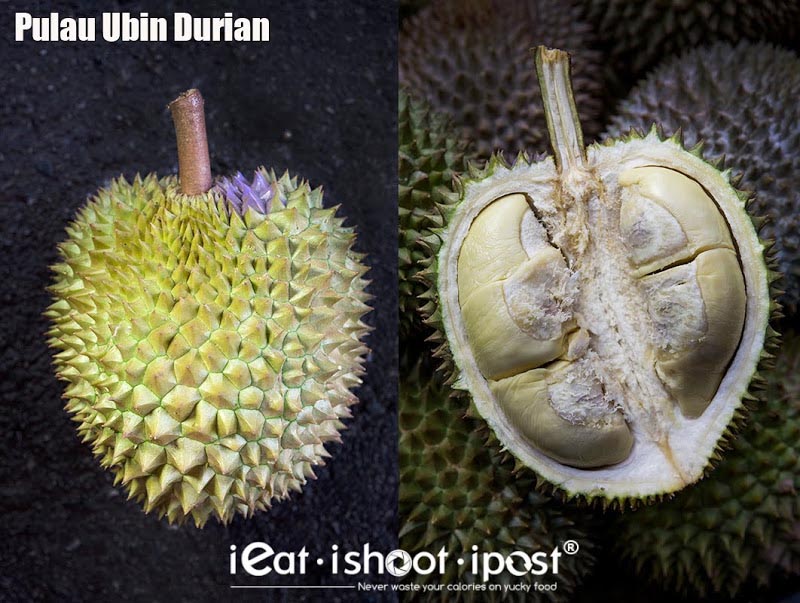 Ubin-Durian