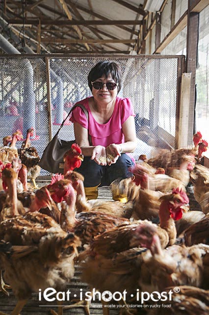 Tian Tian Chicken Rice's Mdm Foo with the Ultimate Hawker Fest Chickens