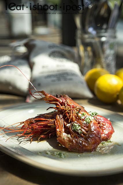 Carabinero Shrimps ala Plancha