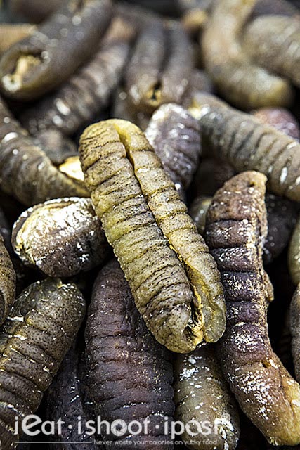 Gold Sand Fish Sea Cucumber 金秃参