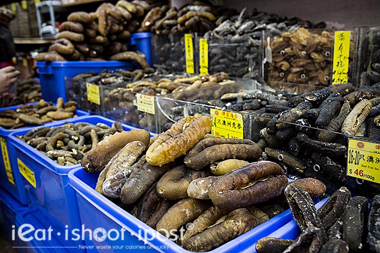 Sea-Cucumbers