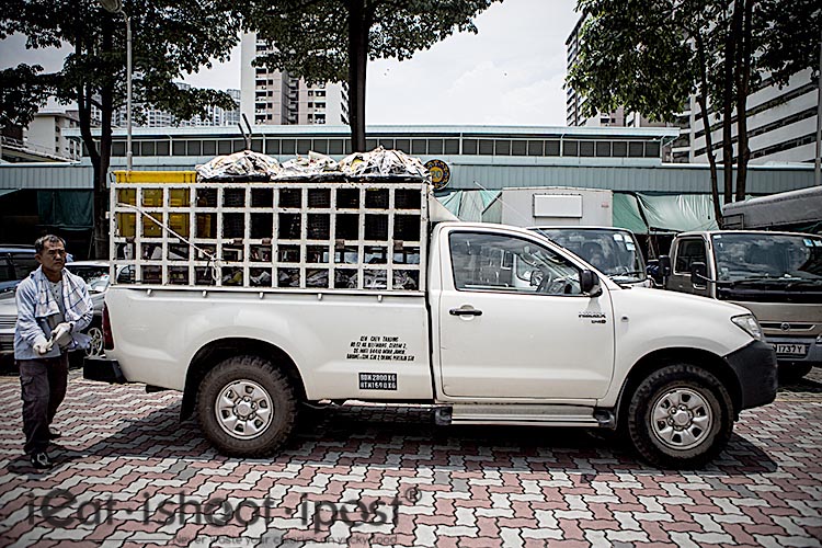 Durian truck