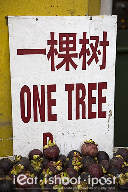 One-Tree