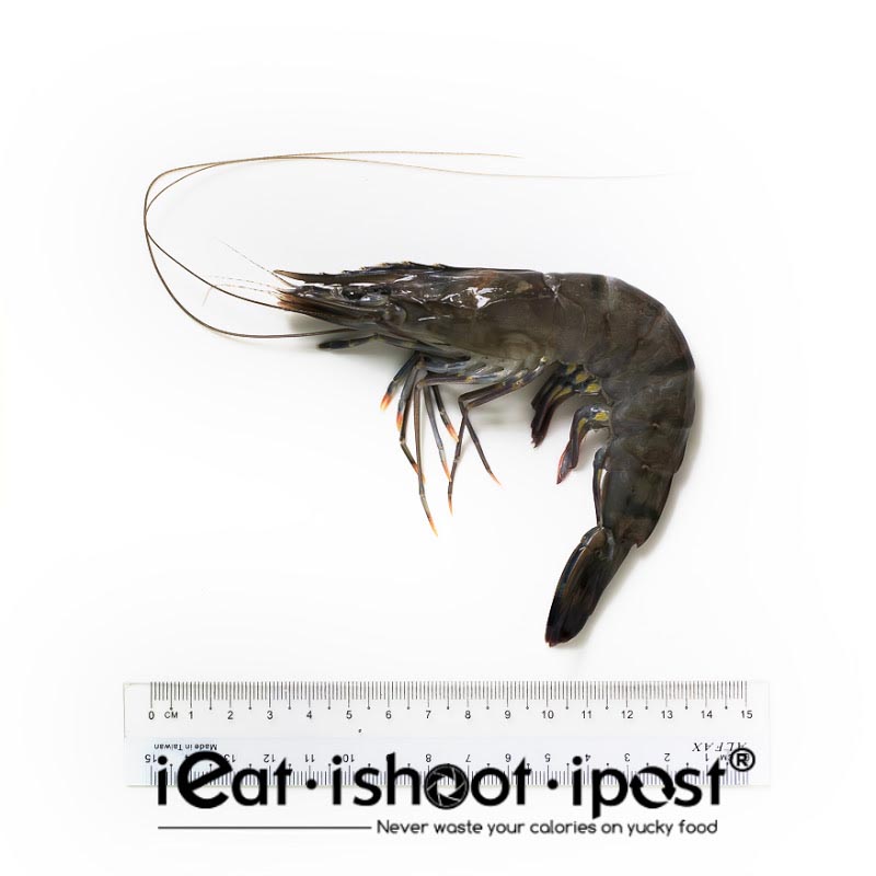 Giant Tiger Prawn - Farmed