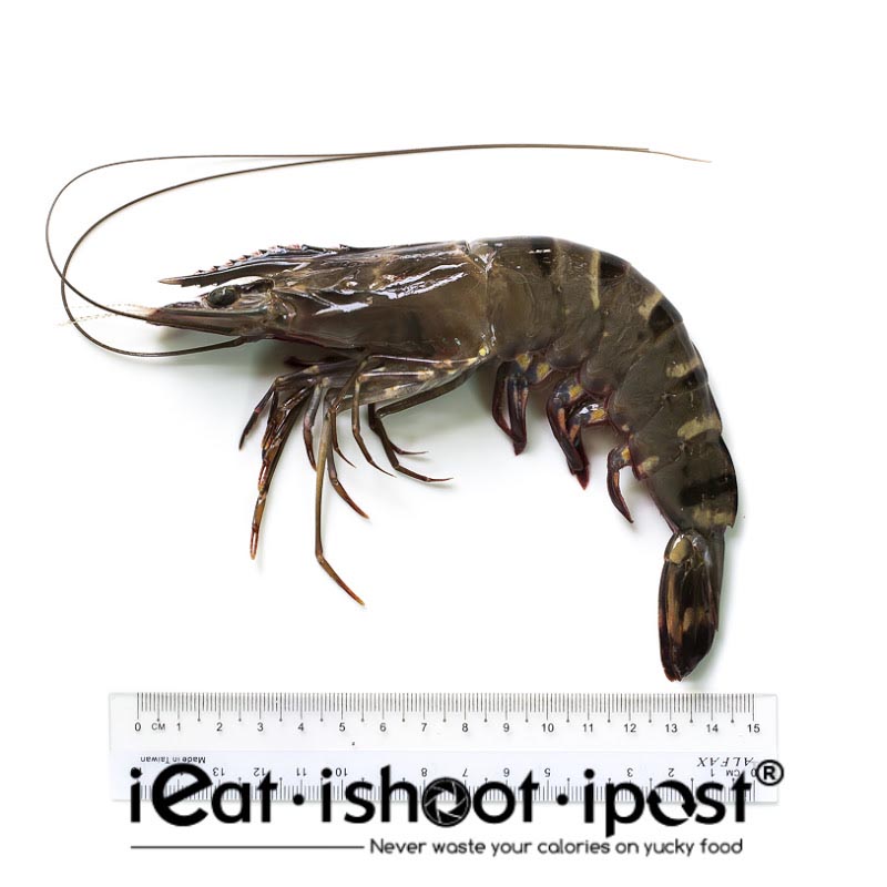 Singapore Prawn Files: The Striped Ones: Tigers, Kuruma and