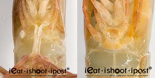 Coromandel-Shrimp-Sexual-Organs