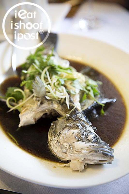 Hong Kong Steam Seabass $28