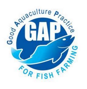 GAP-FF Logo