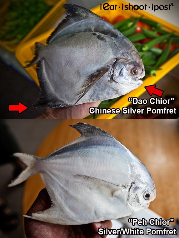 Differences-Pomfret