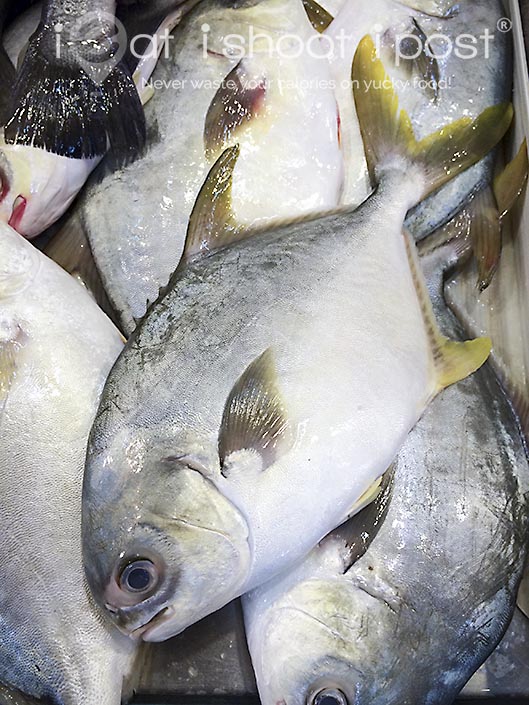 Pompano