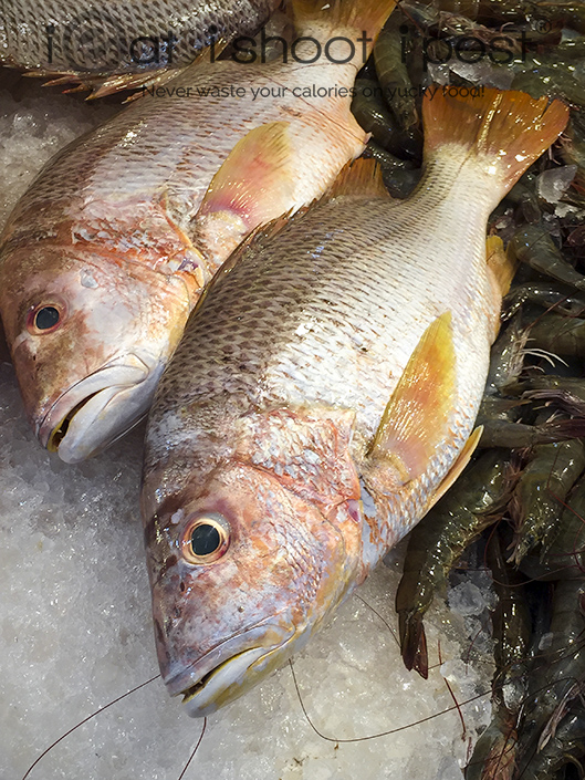 John's Snapper/Golden Snapper