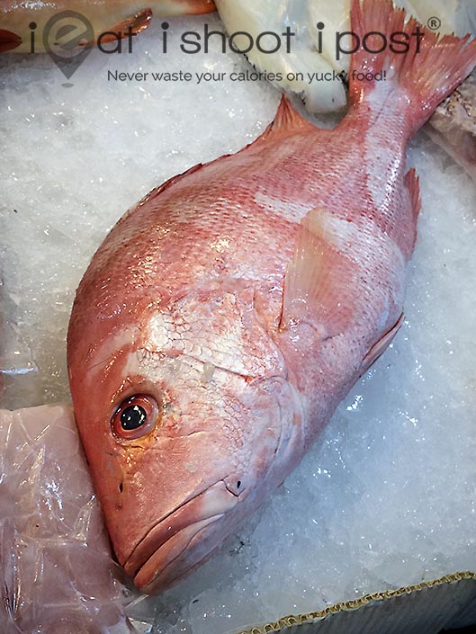 emperor red snapper