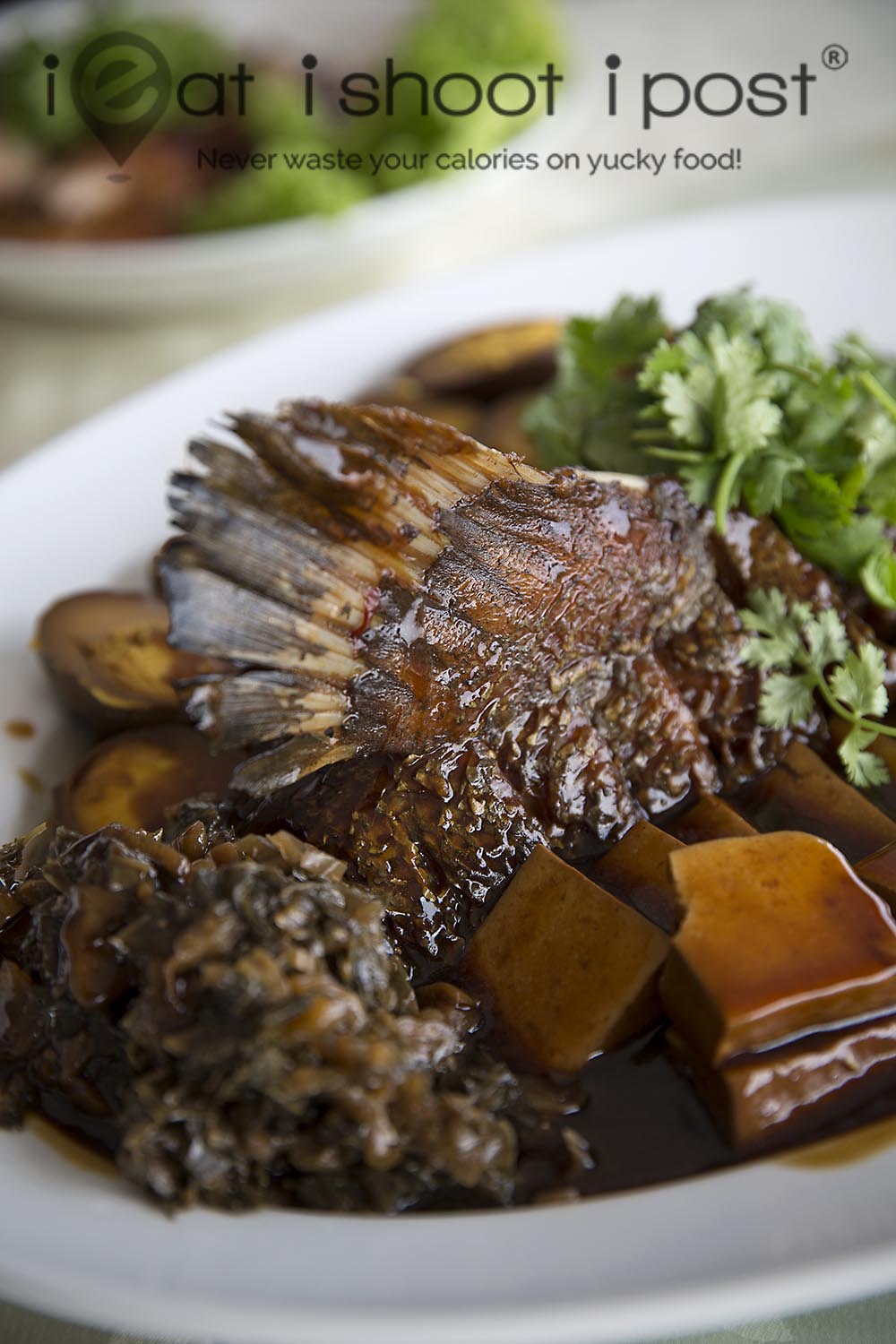 Braised Dorsal Fin with Mui Choy