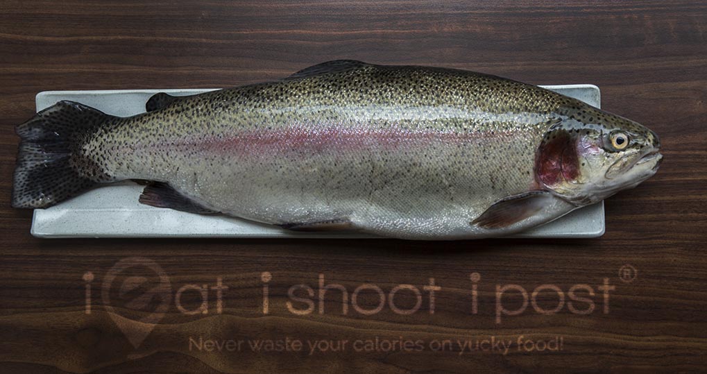 Trout-2