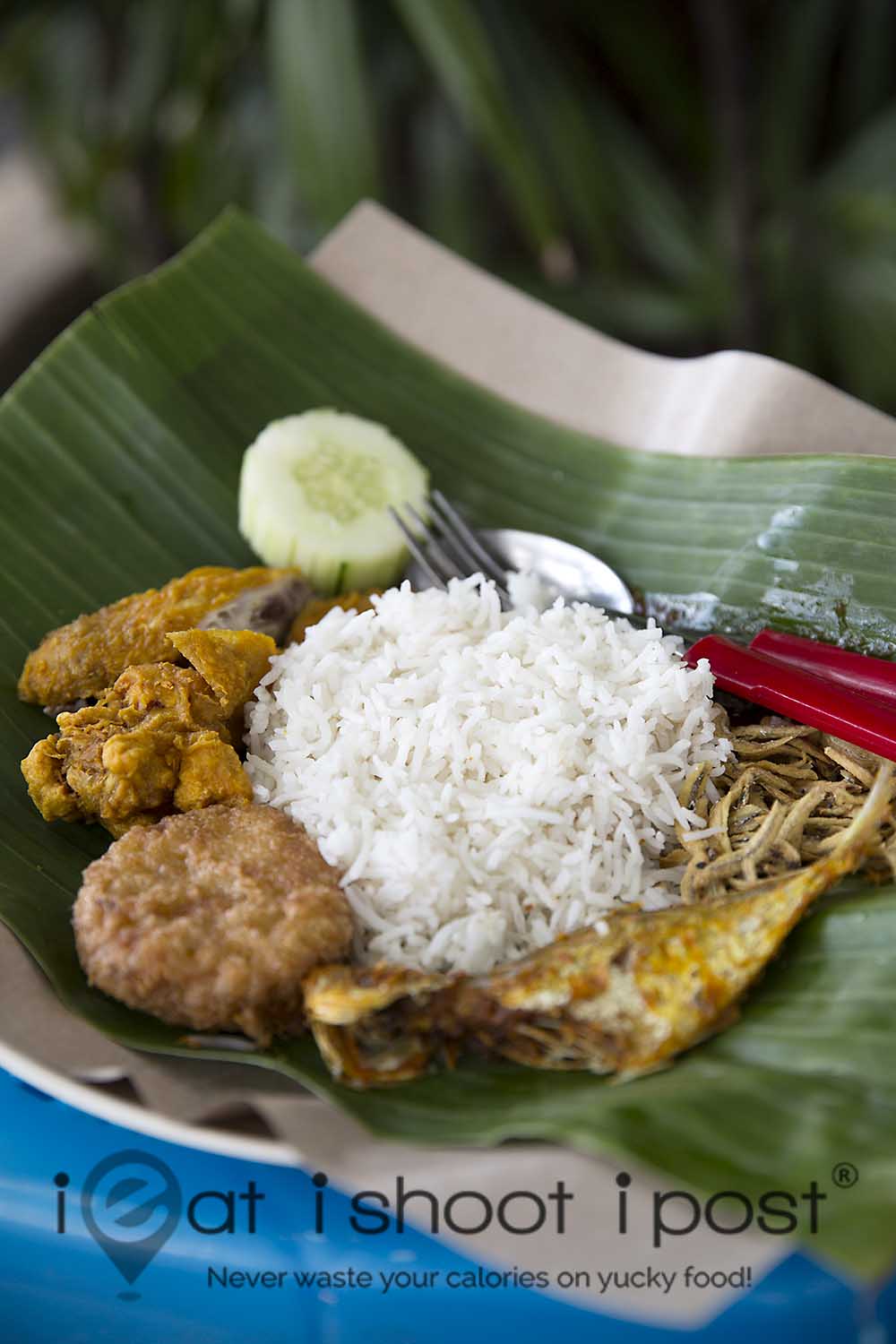 Nasi Lemak 2