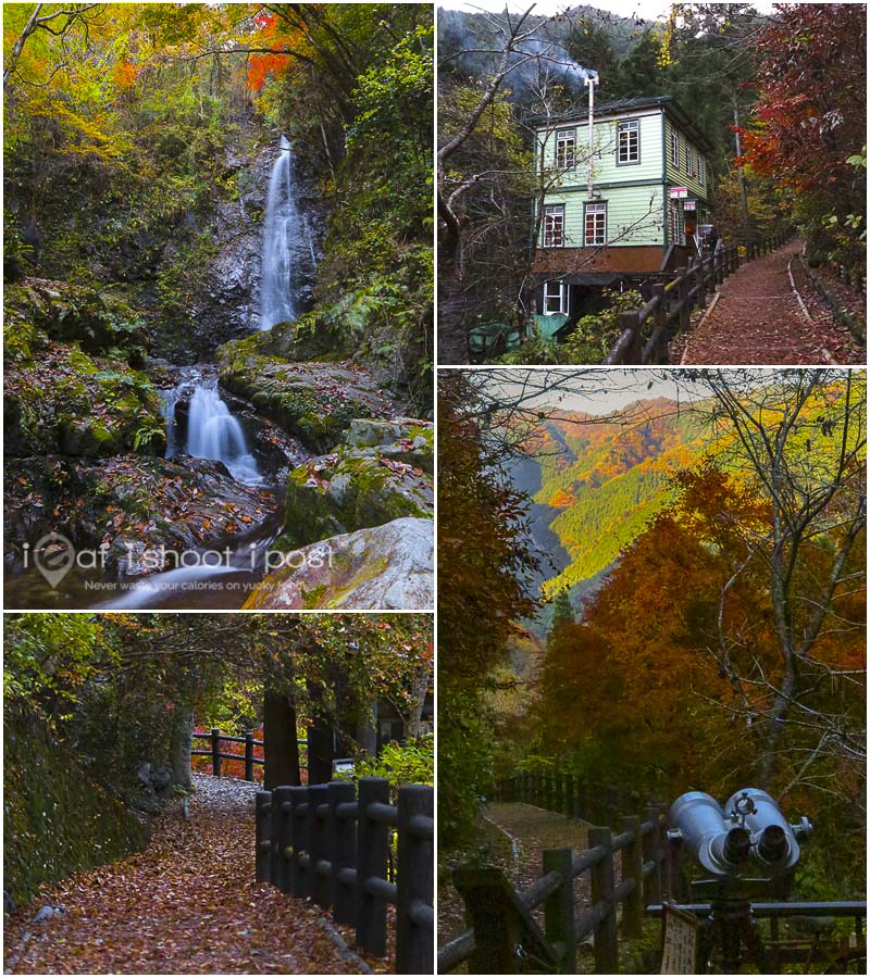 Hinohara Waterfalls 2