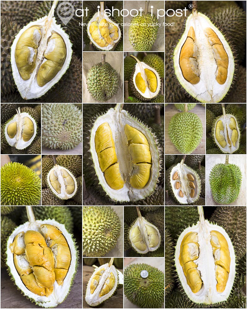 Ultimate Durian Guide Singapore