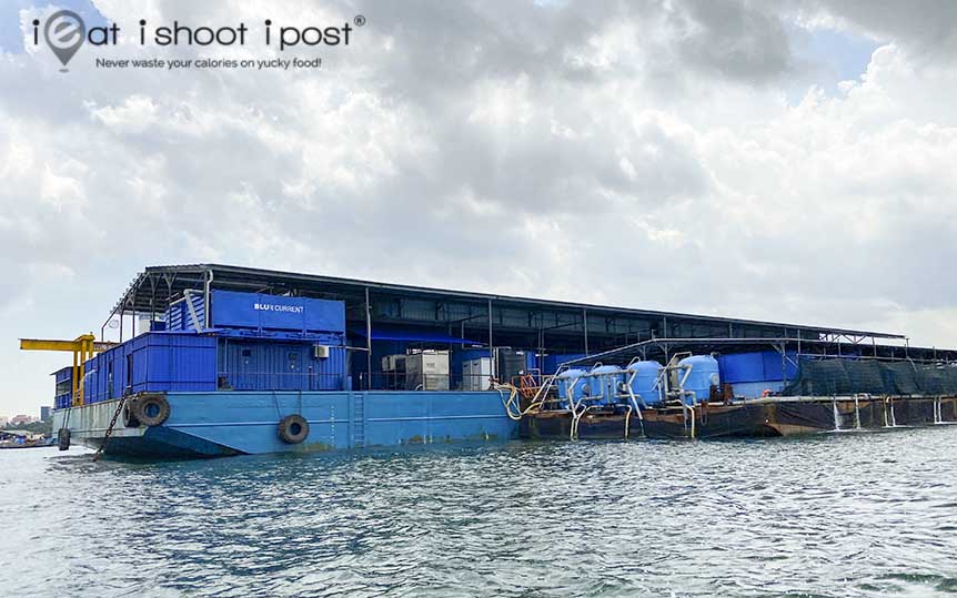 Bluecurrent Fish Farm