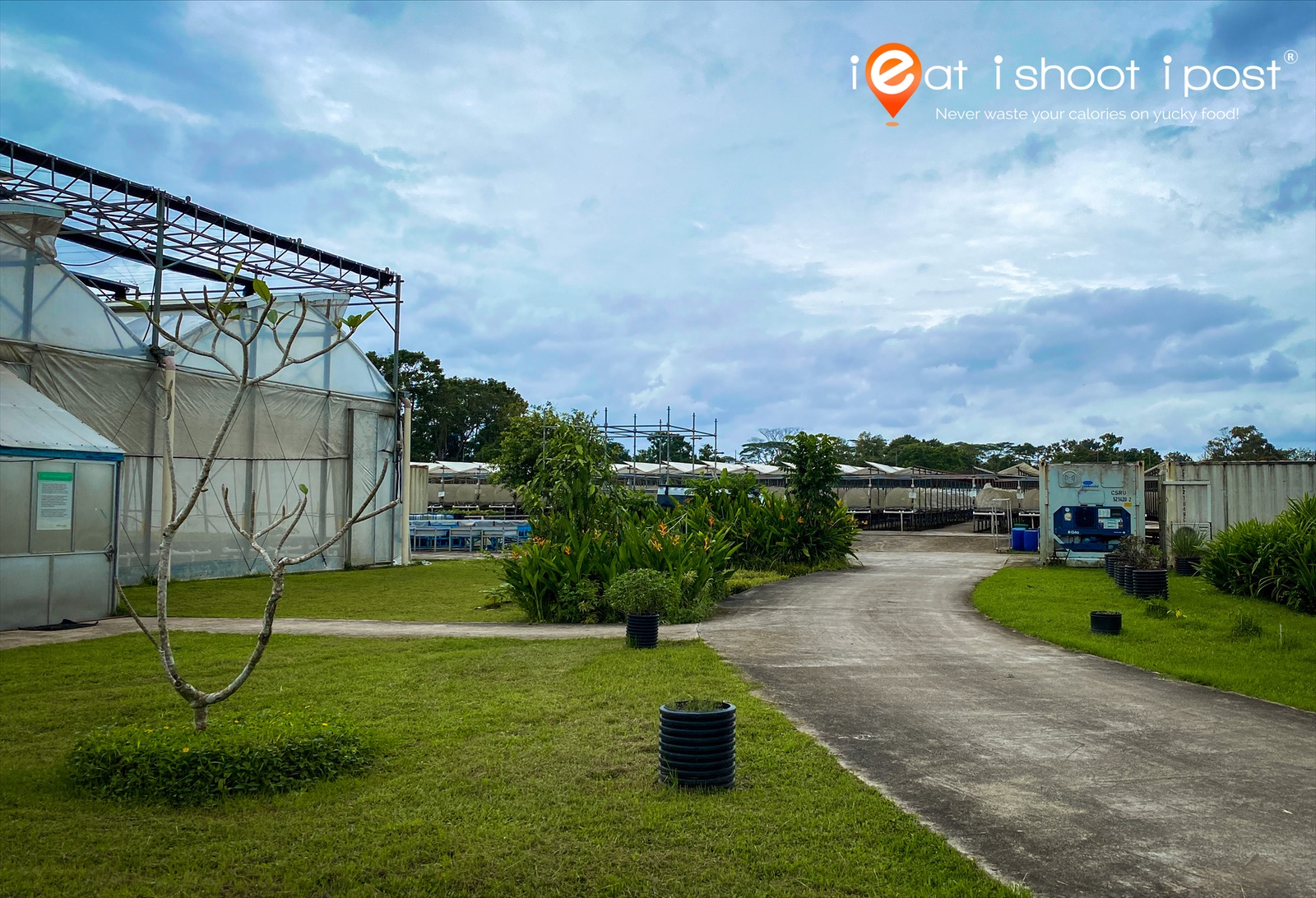 Entrance to Red Dot Farm in Kranji