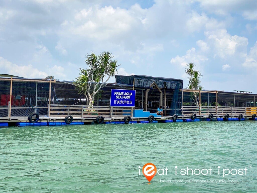 Prime Aqua Sea Farm - floating farm that spans over the size of 8 football fields