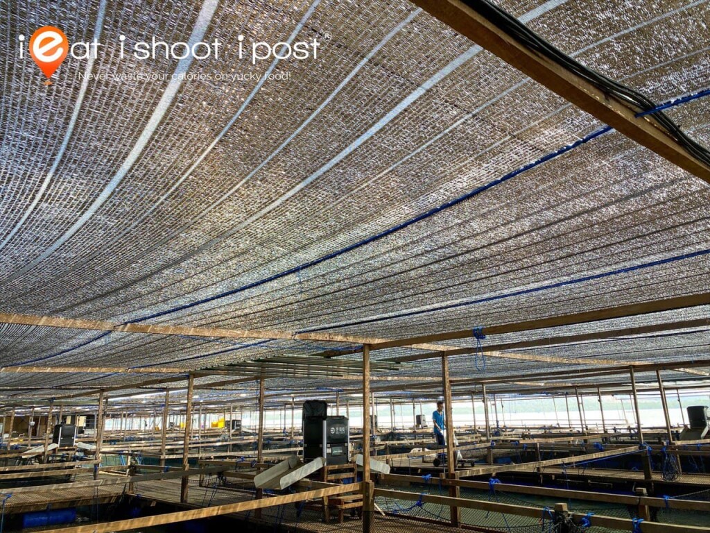 Dark covering cools the entire farm and helps to simulate deeper waters