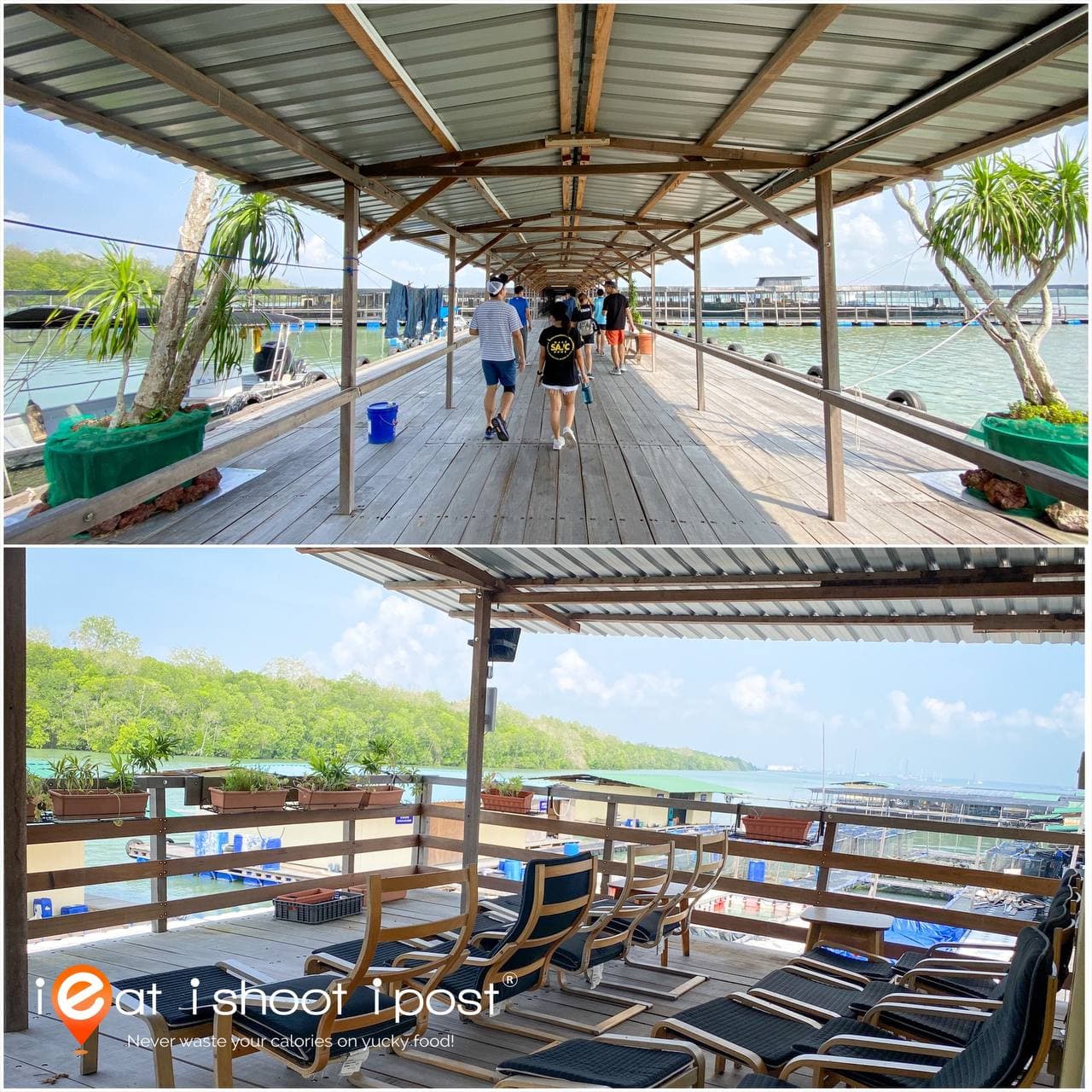 The farm is decked with broad board walks and even an upper flour with deck chairs!