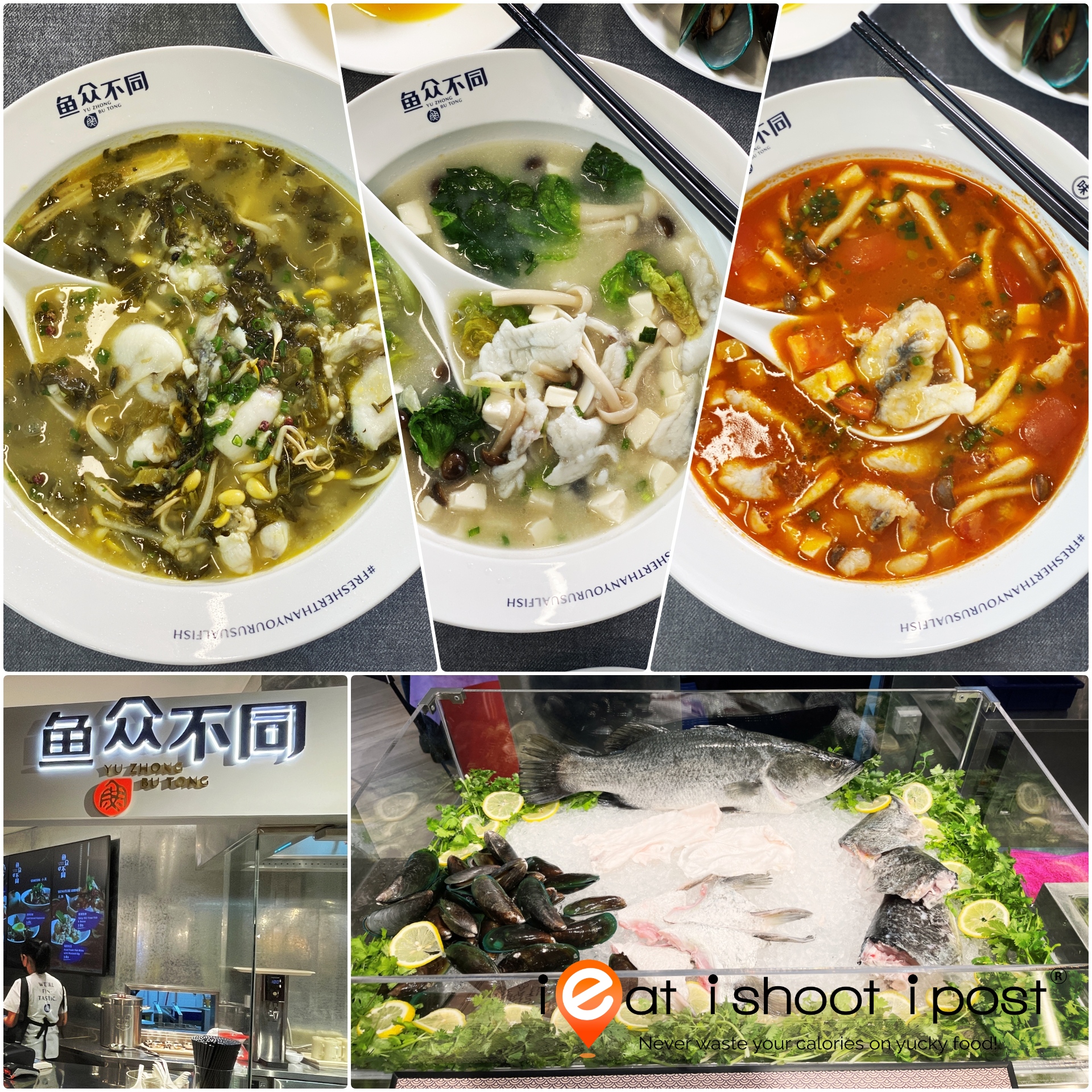 Yu Zhong Bu Tong: Sauerkraut Fish Soup, Collagen Fish Soup and Tomato Fish Soup