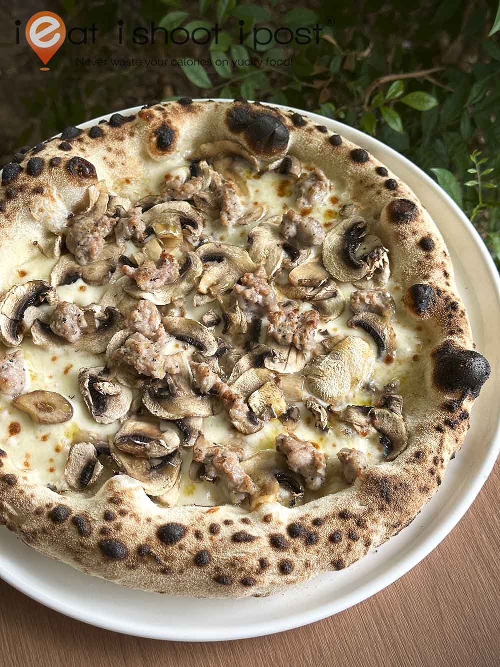 Galleria: Neapolitan-style pizza made with Hokkaido flour - The Japan Times