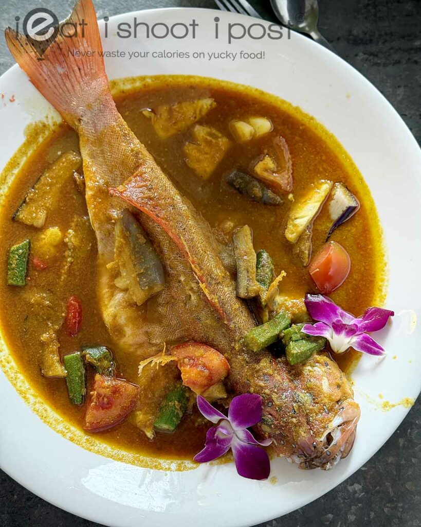 Assam Grouper