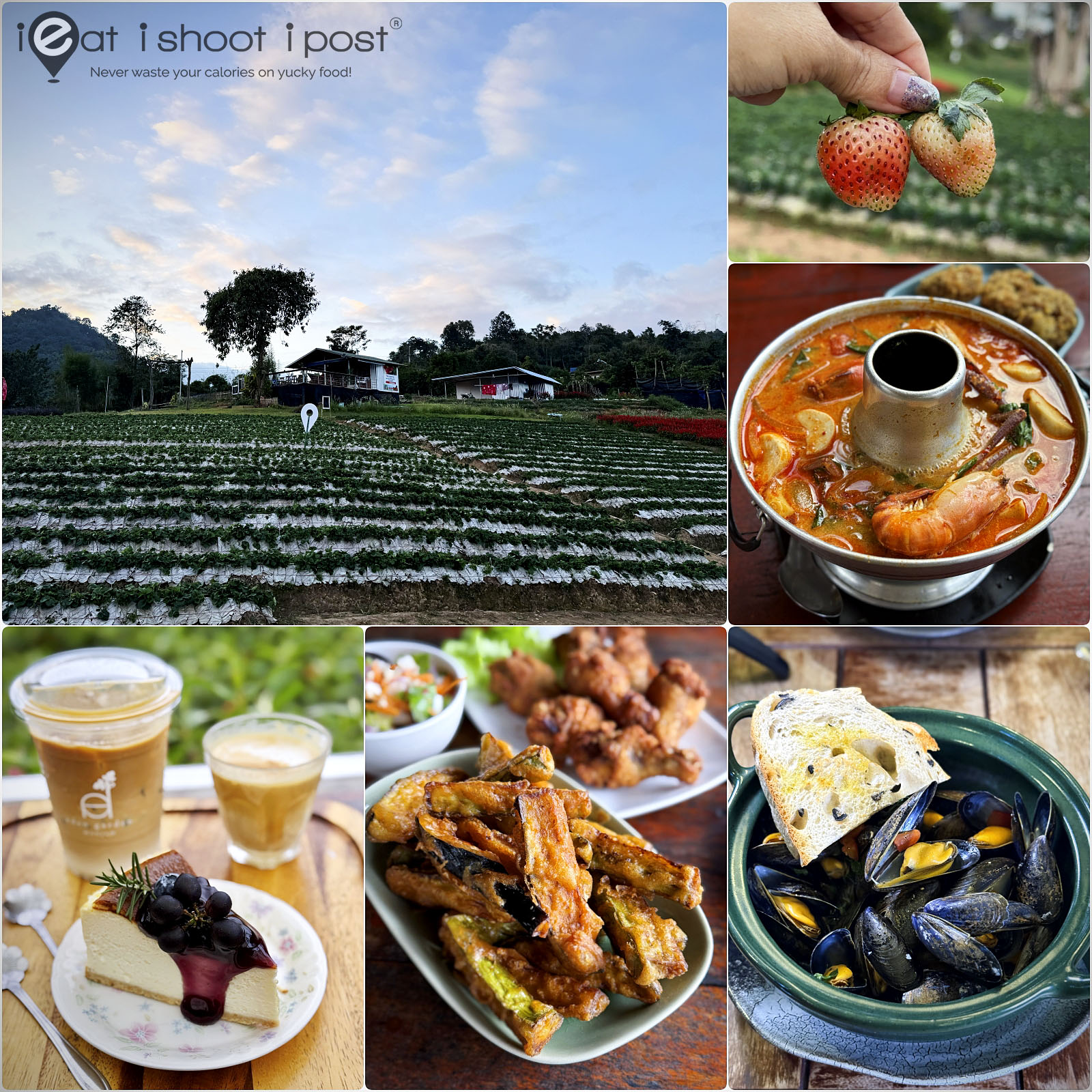 Chiang Mai Retreat: Rest and Relax in Mae Rim!