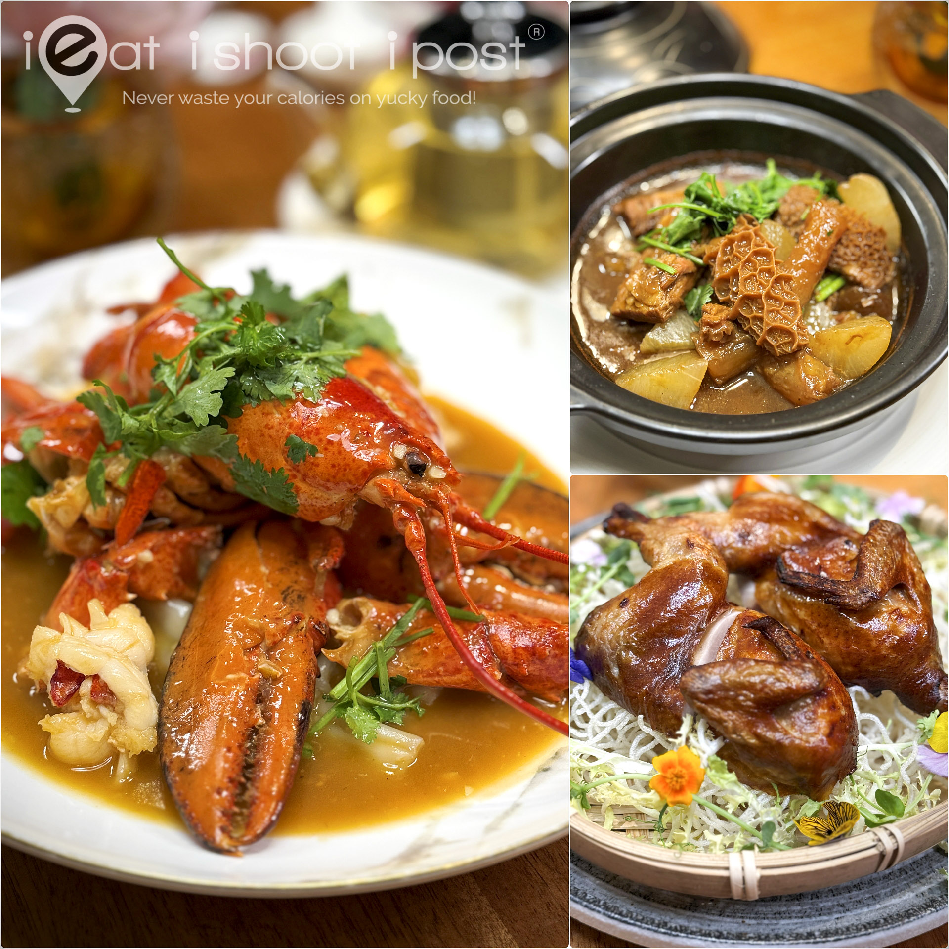 Xin Cuisine: Seasonal Guangzhou Menu!